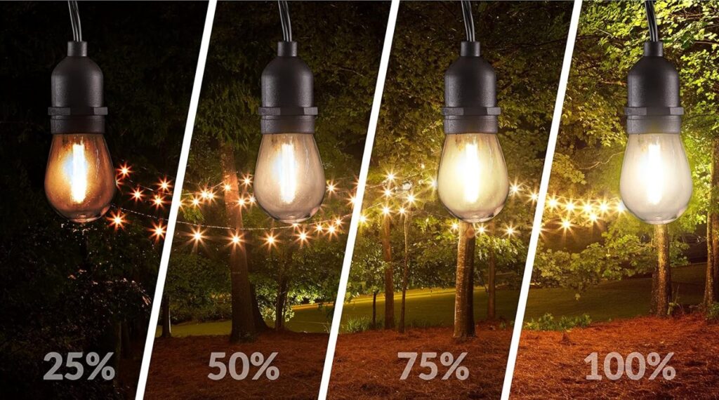 Overlooking Dimmable or Adjustable Lighting Options