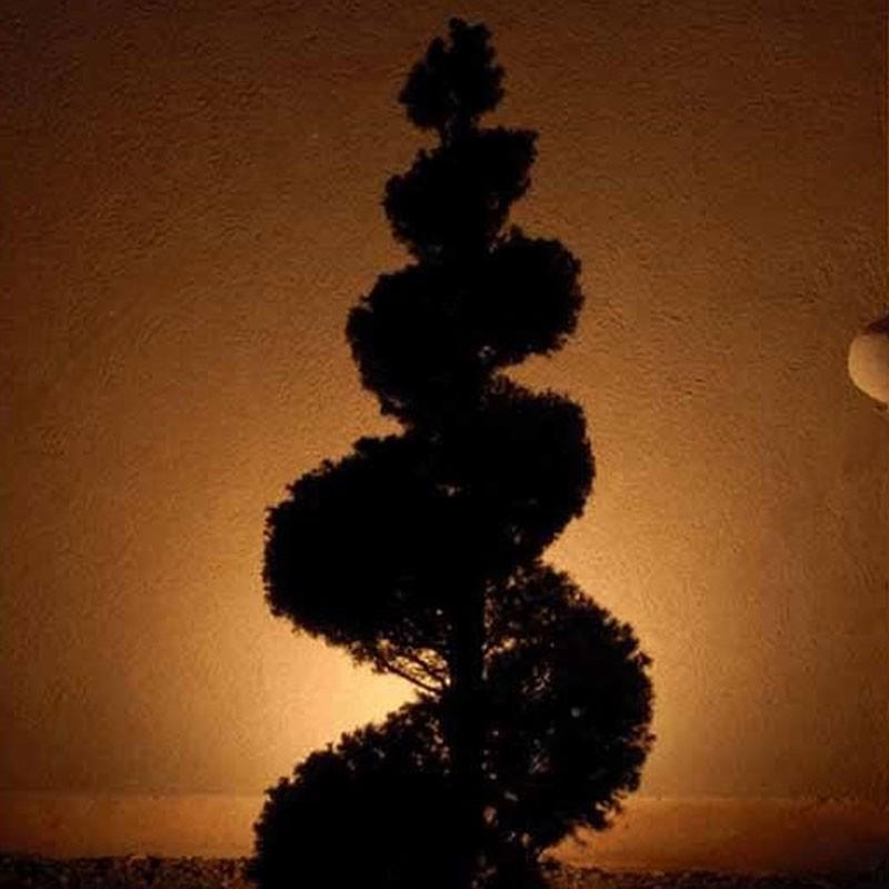 Silhouetting lighting