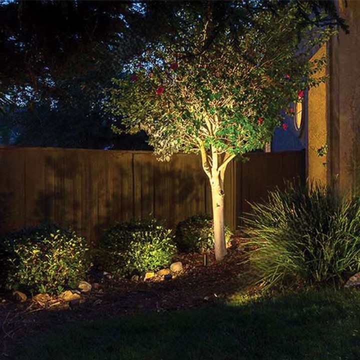 Using Accent Lighting for Plants