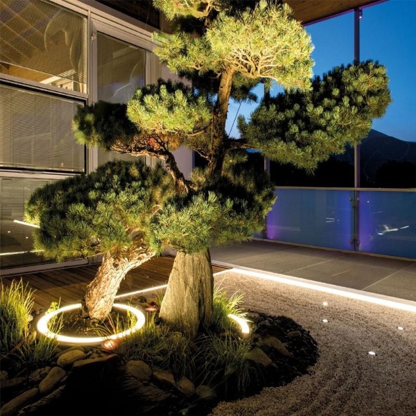 zen garden lighting